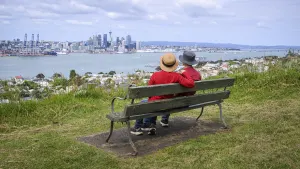 Auckland City Revealed
